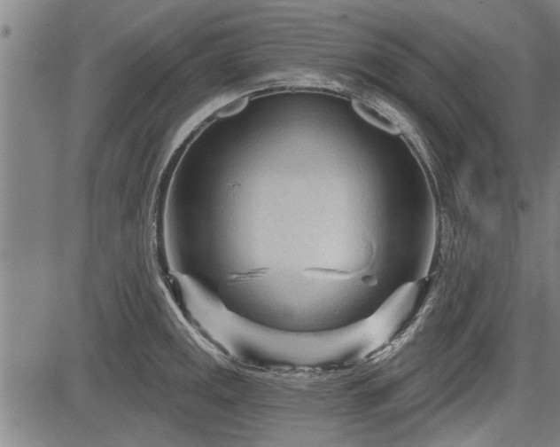 X0000083611141200702201243