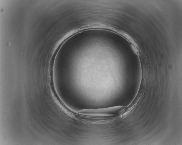 X0000083611142200702201243