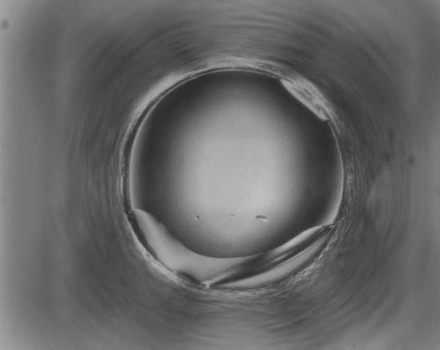 X0000083611143200702201243