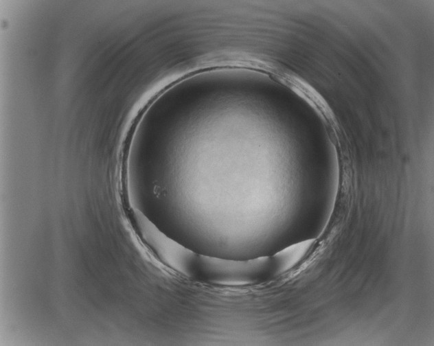 X0000083611144200702201243