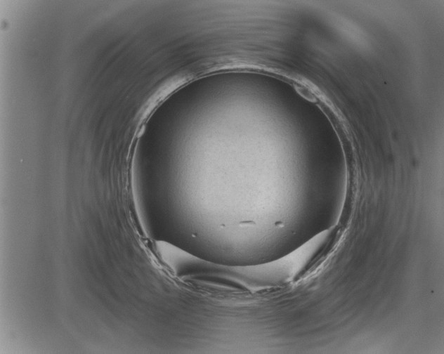 X0000083611145200702201243