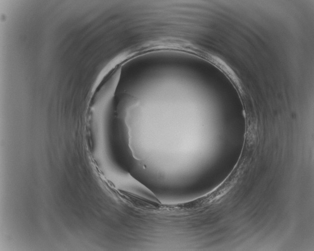 X0000083611146200702201243