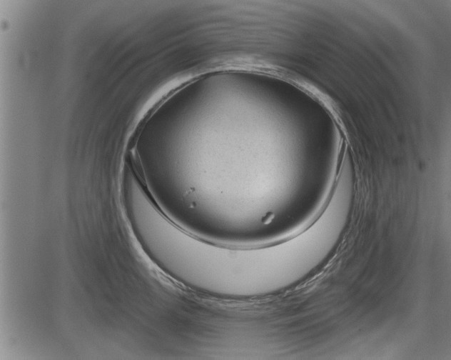 X0000083611147200702201243