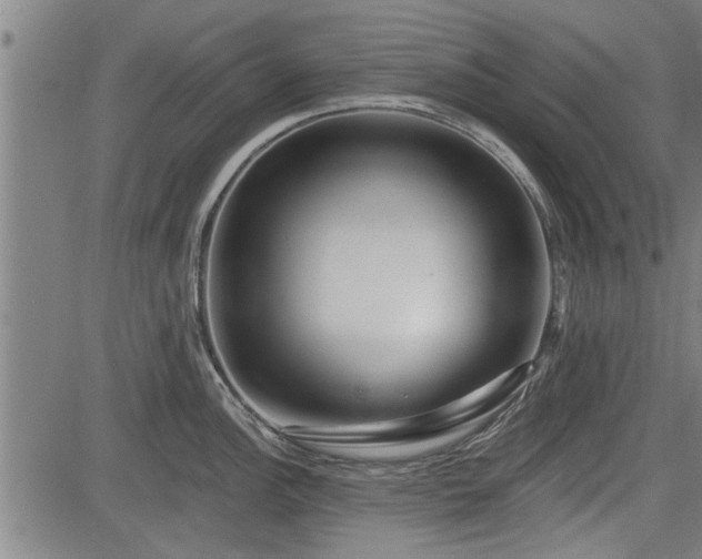 X0000083611148200702201243