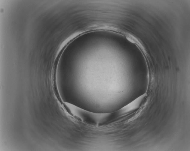 X0000083611149200702201243