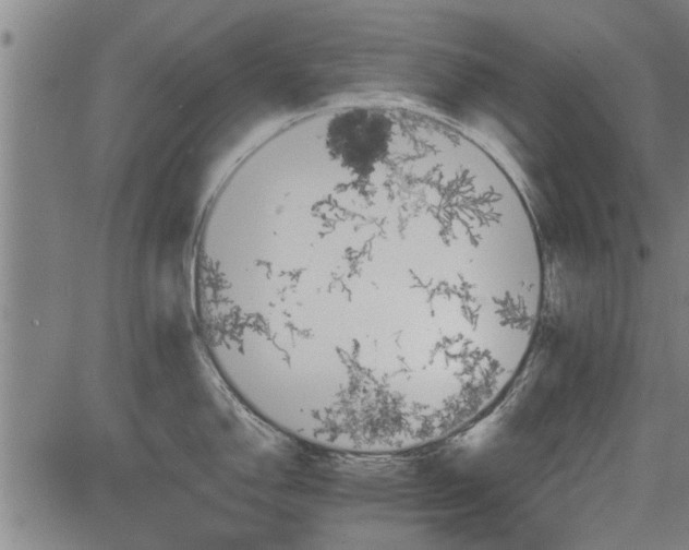 X0000083611150200702201243