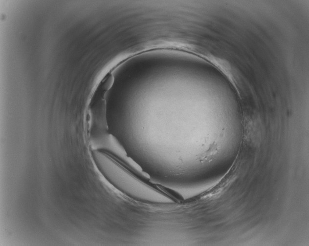 X0000083611151200702201243