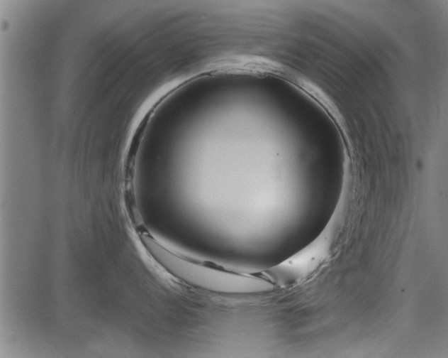 X0000083611152200702201243