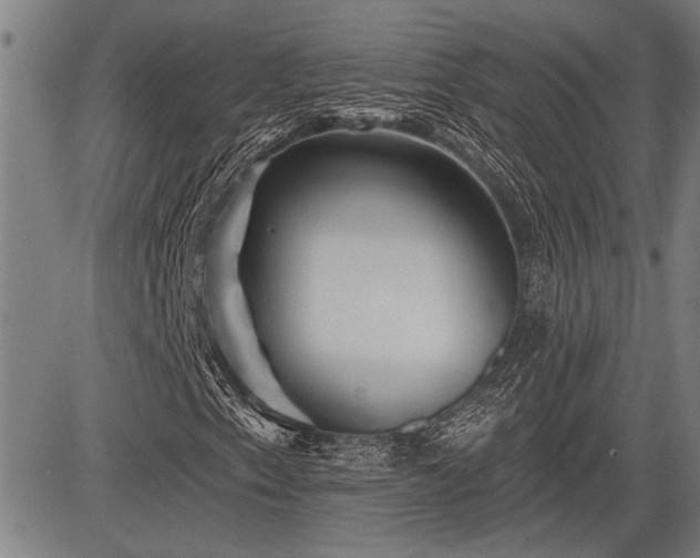 X0000083611153200702201242