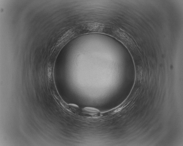 X0000083611154200702201242