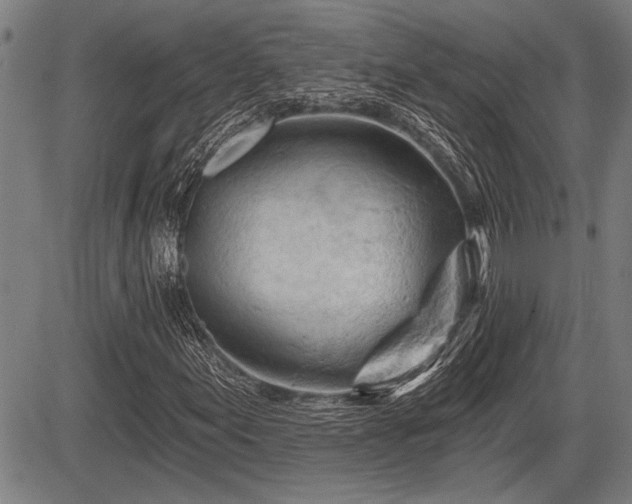 X0000083611155200702201242