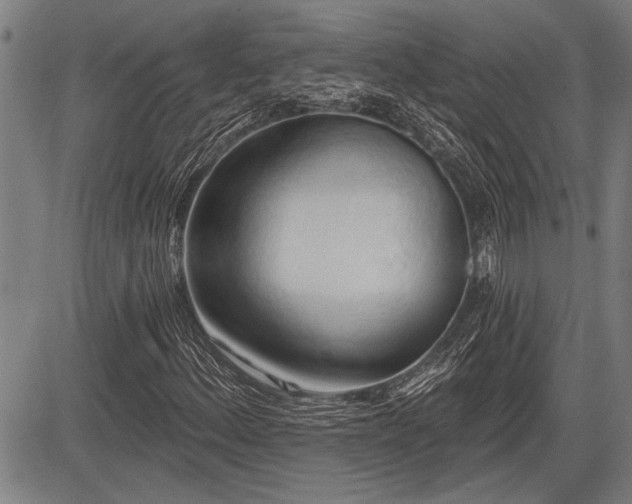 X0000083611156200702201242