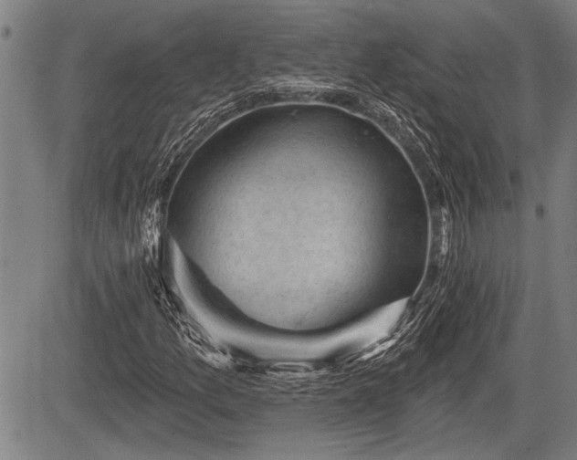 X0000083611157200702201242