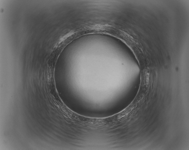 X0000083611158200702201242