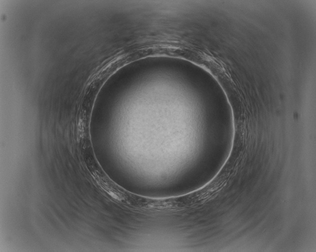 X0000083611159200702201242