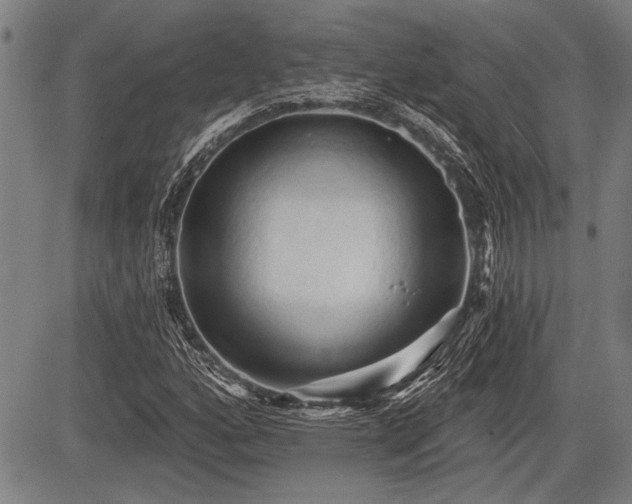 X0000083611160200702201242