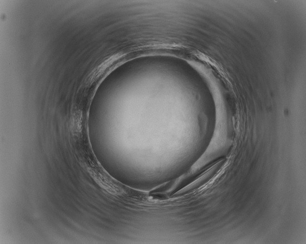 X0000083611161200702201242