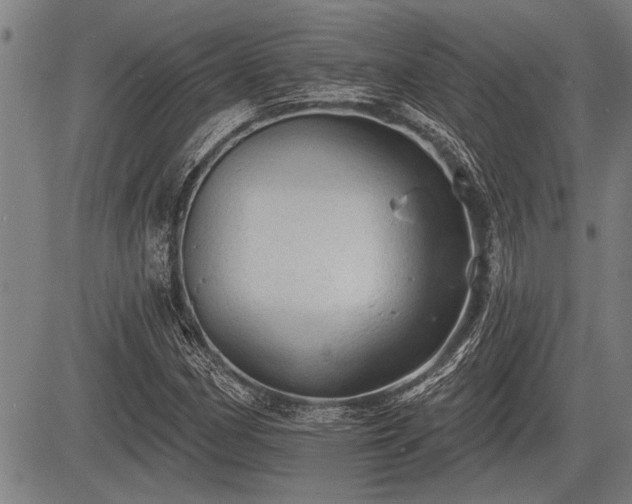 X0000083611162200702201242