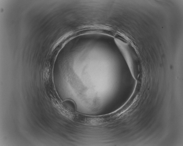 X0000083611163200702201242