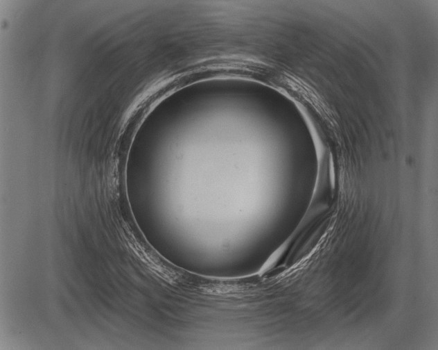 X0000083611164200702201242