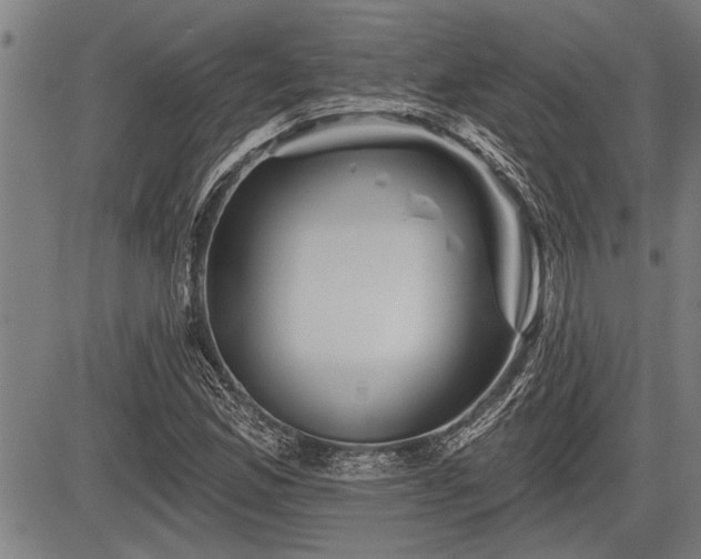 X0000083611165200702201242