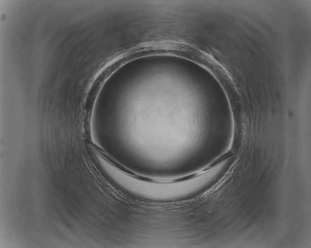 X0000083611166200702201242