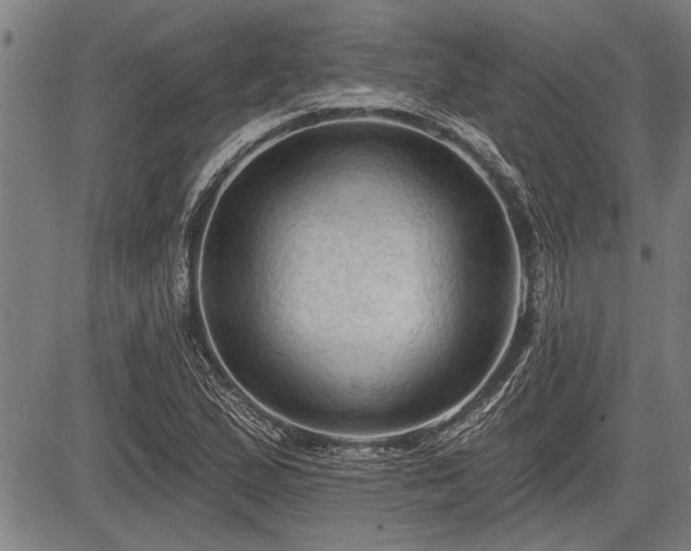 X0000083611167200702201242