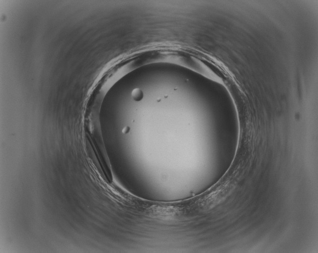 X0000083611168200702201242