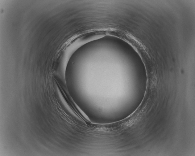 X0000083611169200702201242