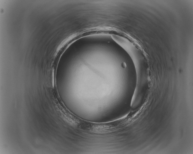 X0000083611171200702201242