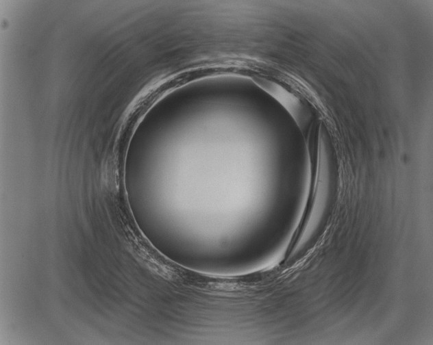 X0000083611172200702201242