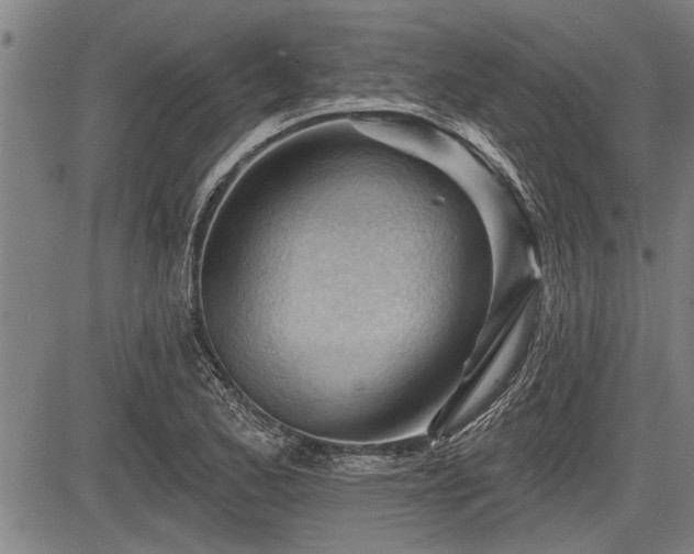 X0000083611173200702201242