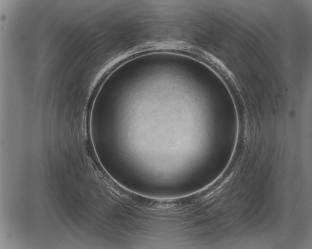 X0000083611174200702201242