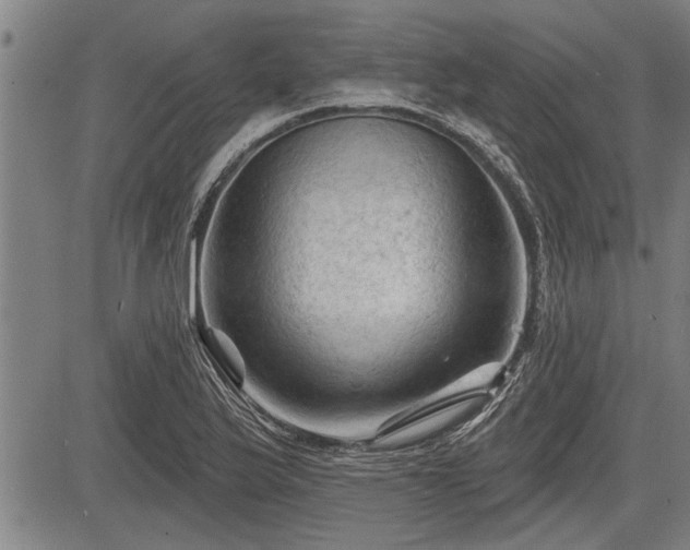 X0000083611175200702201242