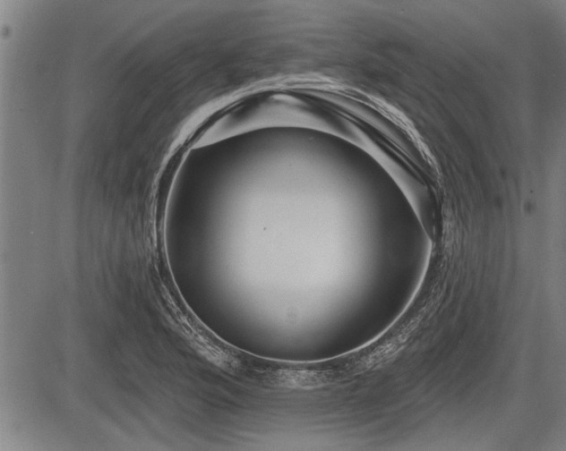 X0000083611176200702201242