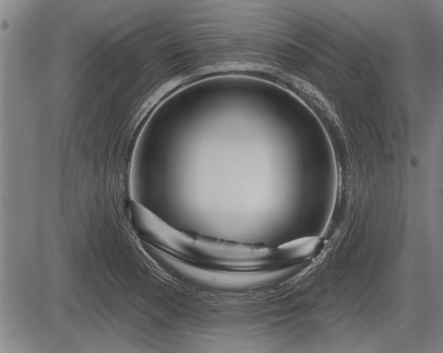 X0000083611177200702201242