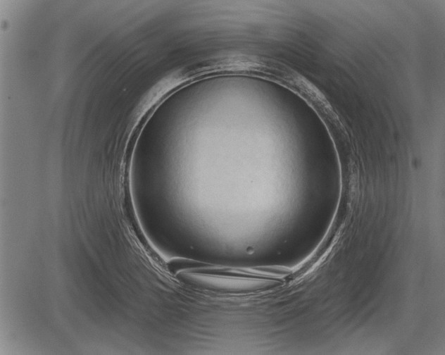 X0000083611178200702201242