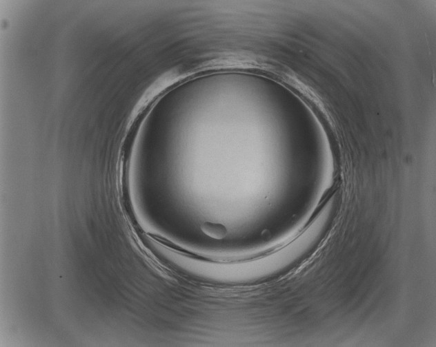 X0000083611179200702201242