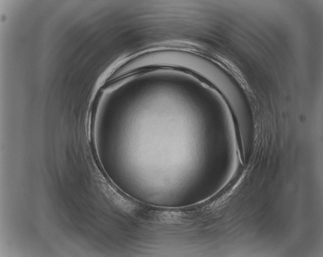 X0000083611180200702201242