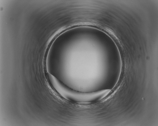 X0000083611181200702201242