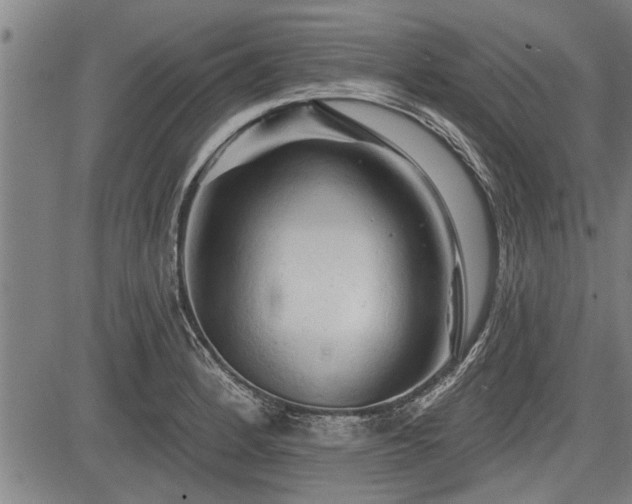 X0000083611184200702201242