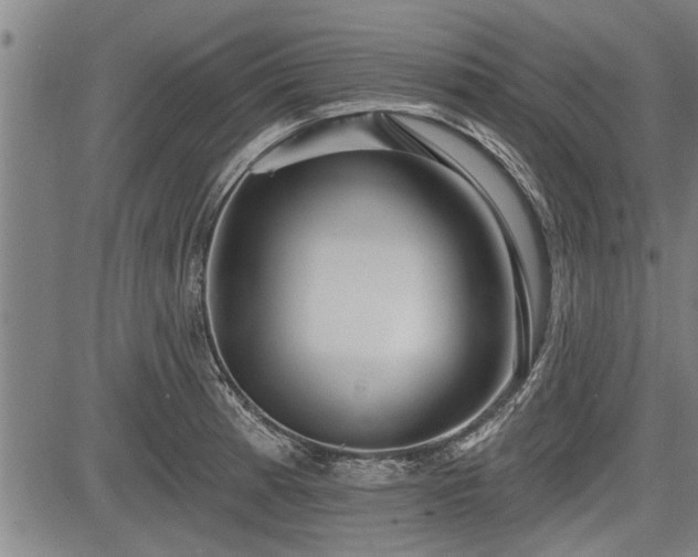 X0000083611185200702201242