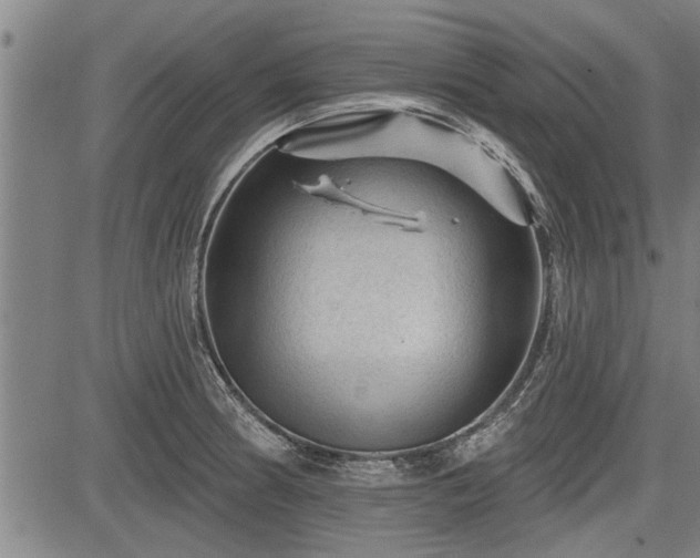 X0000083611186200702201242