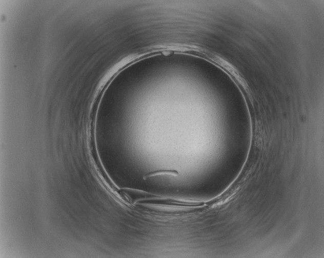 X0000083611187200702201242