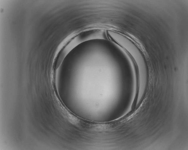 X0000083611188200702201242