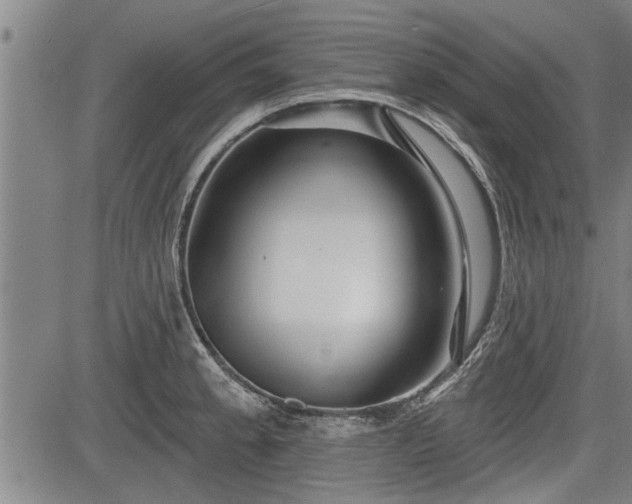 X0000083611189200702201241