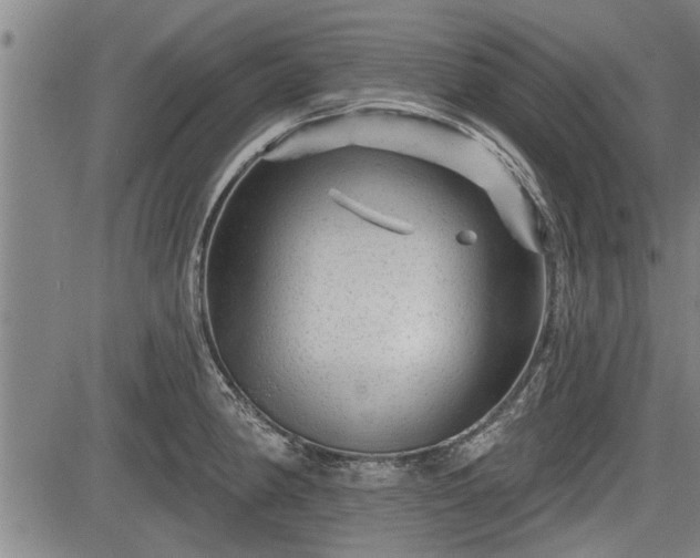 X0000083611190200702201241