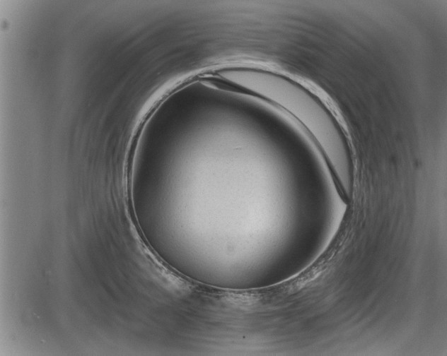 X0000083611191200702201241