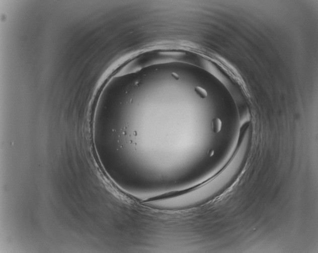 X0000083611192200702201241