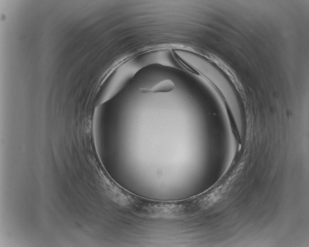 X0000083611193200702201241